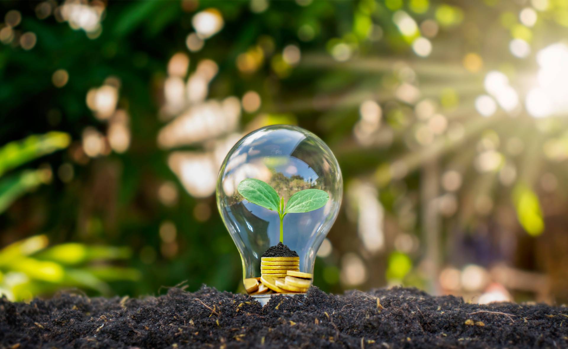 Energy Saving Tips for Summer